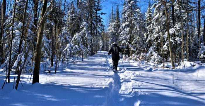 Person cross-country skiing on a trail in the winter. 