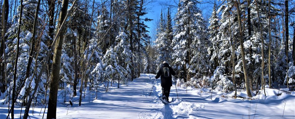 Person cross-country skiing on a trail in the winter. 