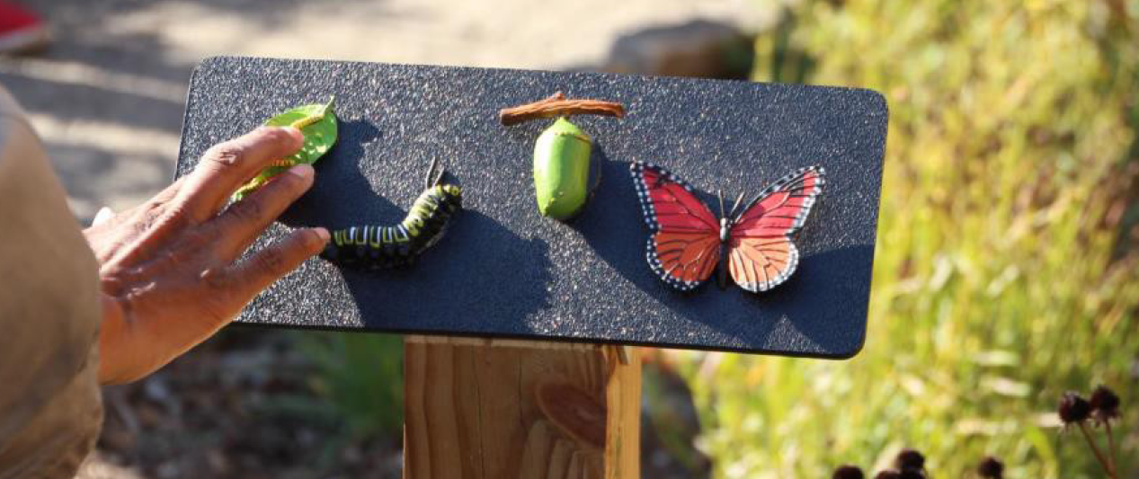 Un panneau qui comprend plusieurs objets tactiles. Ces objets incluent une feuille, une chenille, un bâton, un gland et un papillon. 