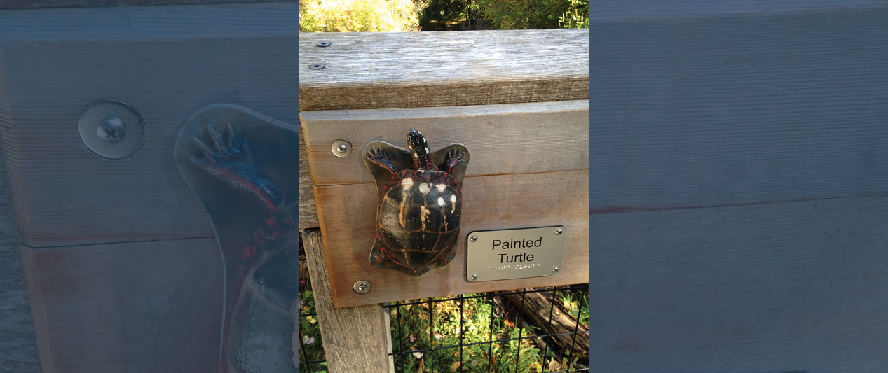 Une sculpture d’une tortue attachée à un panneau en bois. 