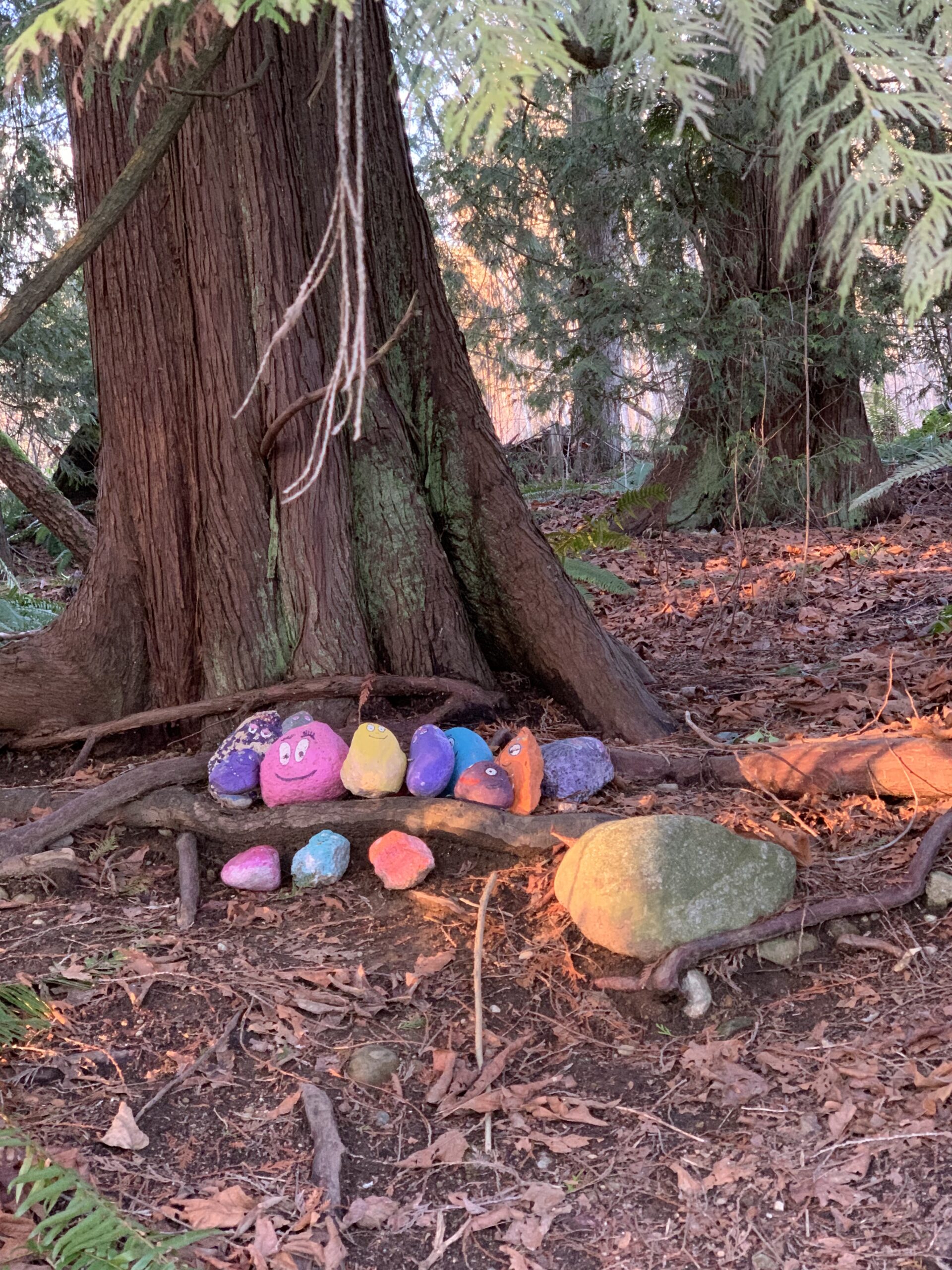 Smiling Rocks Real Smiling rocks along the trail (BC) - Sentier Transcanadien