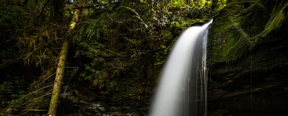 Cowichan Valley Trail in British Columbia