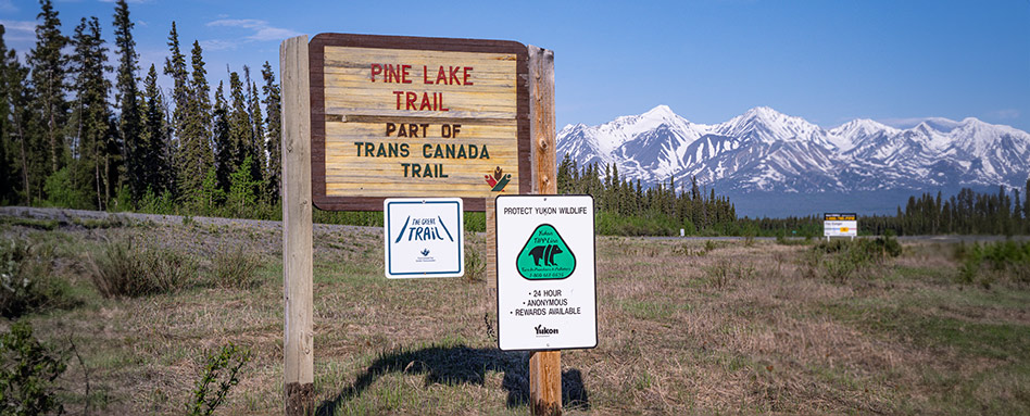 signage reads "Pine Lake Trail part of the Trans Canada Trail"
