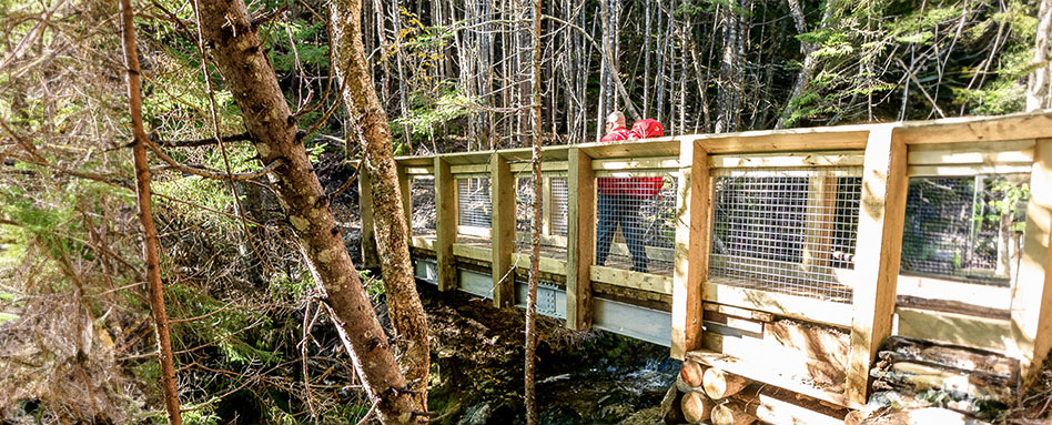 A person walking on a wooded bridge along the Trans Canada Trail