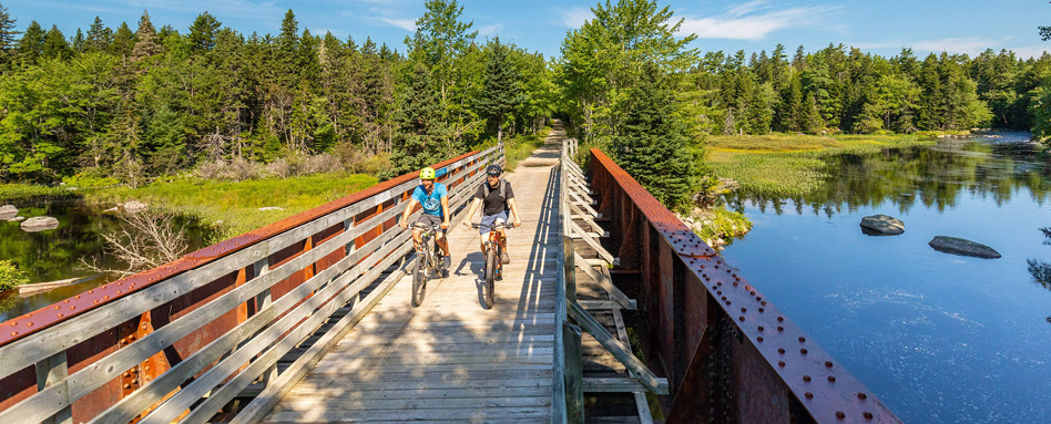 Two adults riding bikes on a bridge
