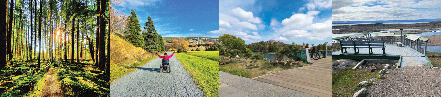 A photo collage of scenes along the trail