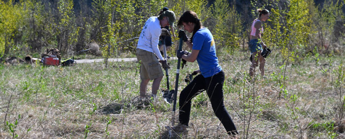 Volunteers tree planting along the Bow River at the 