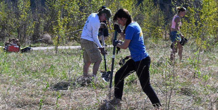 Volunteers tree planting along the Bow River at the