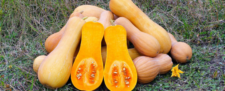 A bunch of squash on grass