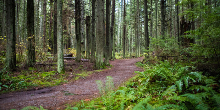 Shubienacadie Trail