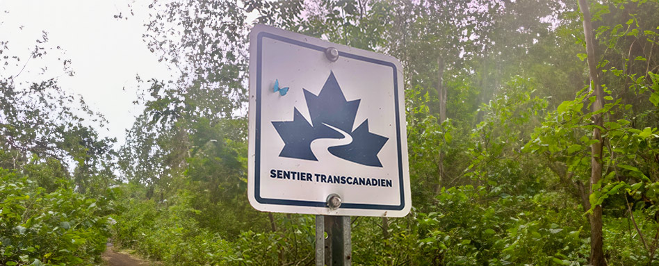 Sentier Transcanadien sign on the trail