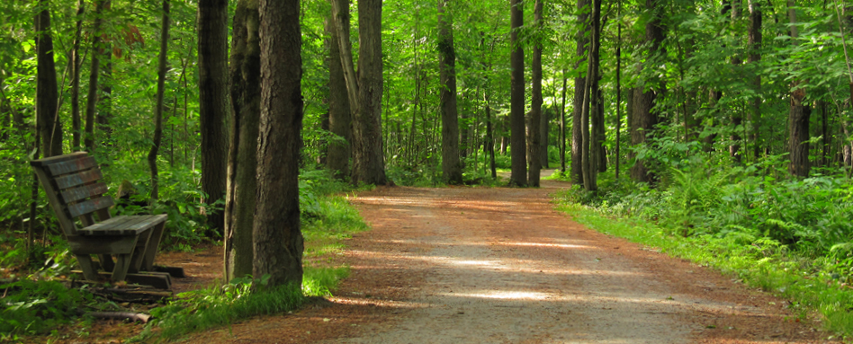 cycling path in Magog