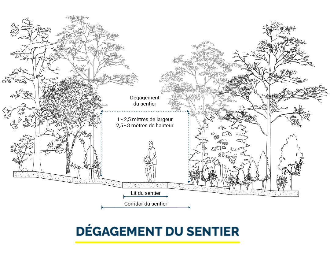 DÉGAGEMENT DU SENTIER illustration