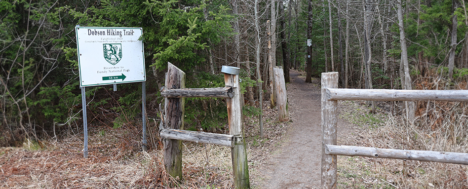 Wooden fence in the woods with a sign reading 'Dobson hiking trail'. | Clôture en bois dans les bois avec un panneau indiquant « Sentier de randonnée Dobson ». 