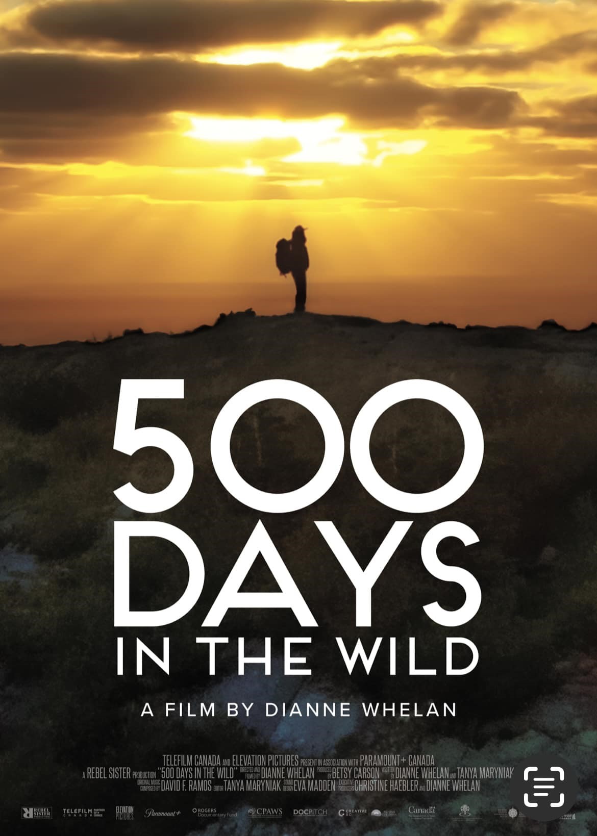 500 Days of Summer In The Wild movie poster | Affiche du film 500 Days of Summer In The Wild