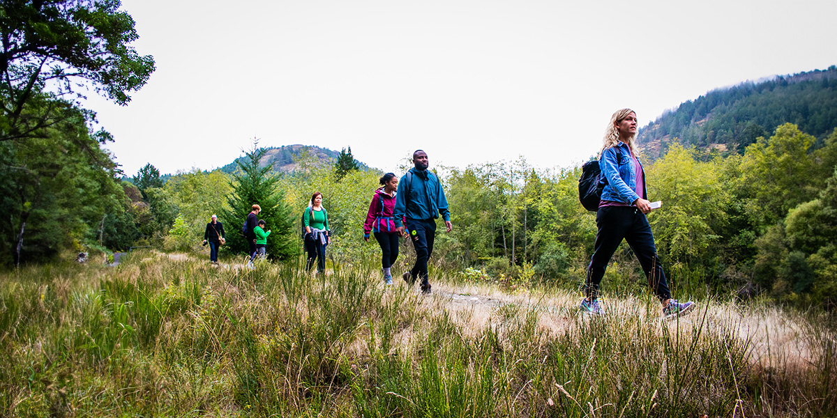 A gathering of hikers traversing a scenic woodland path