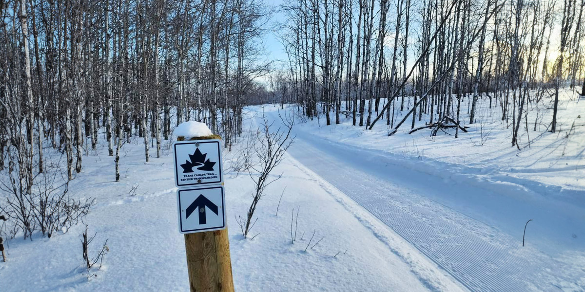 Sign indicating Trans Canada Trail to the right on snowy path. 