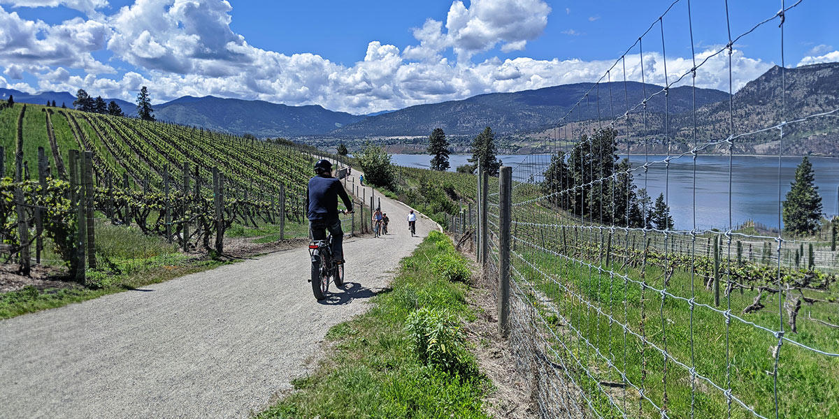 A man rides a bike along a scenic path by a lake, with a picturesque wine vineyard in the background. Un homme fait du vélo sur un sentier pittoresque au bord d'un lac, avec un vignoble pittoresque en arrière-plan.