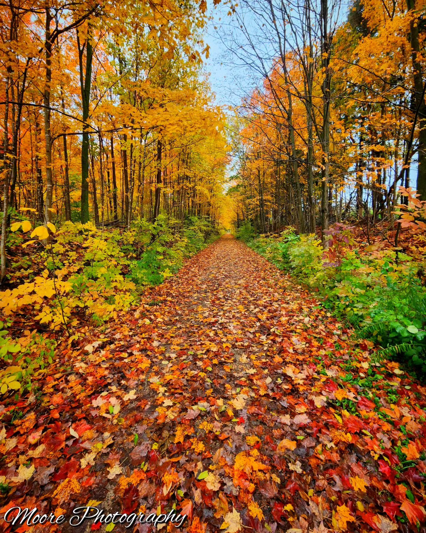 28OCT2023PostDawnaleeMoorePic 1 | Sentier Transcanadien