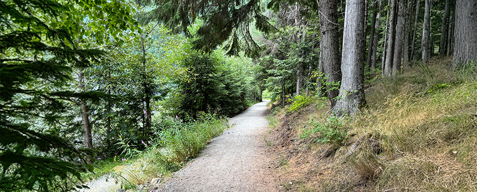 A winding path in the Great Northern Rail Trail, bordered by trees and grass, showcasing the beauty of the woodland landscape. Un sentier sinueux dans le Great Northern Rail Trail, bordé d'arbres et d'herbe, mettant en valeur la beauté du paysage boisé.