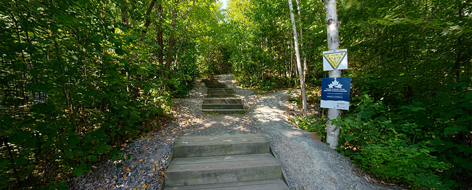 A tranquil wooded path in Sudbury, showcasing wooden steps that guide visitors through the natural landscape. Un sentier boisé tranquille à Sudbury, mettant en vedette des marches en bois qui guident les visiteurs à travers le paysage naturel. 