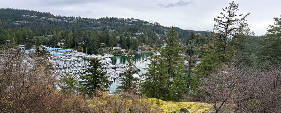 A scenic marina in Vancouver, featuring boats docked alongside lush trees and forest trails in the background. Une marina pittoresque à Vancouver, où des bateaux sont amarrés le long d’arbres verdoyants, avec des sentiers forestiers en arrière-plan.