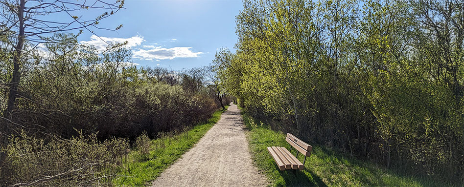 A bench positioned along a dirt path on the Harte Trail Section. Un banc installé le long d’un sentier de terre sur le tronçon Harte Trail.