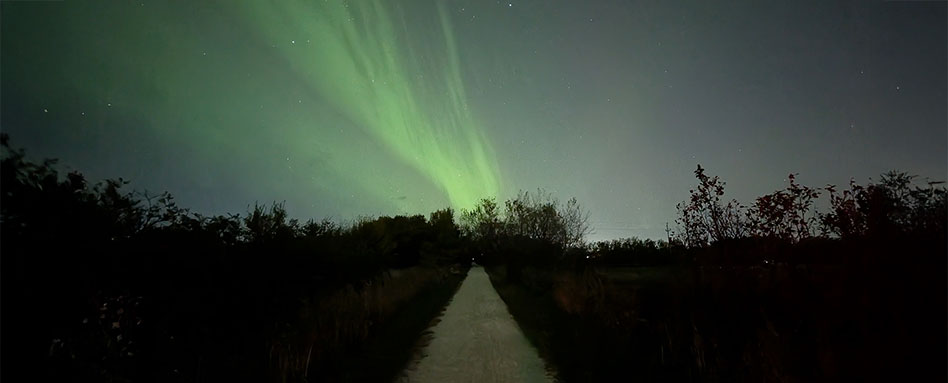 The aurora borealis illuminates the Harte Trail, creating a stunning natural display over the winding path. Les aurores boréales illuminent le Harte Trail, offrant un spectacle naturel époustouflant au-dessus du sentier sinueux.