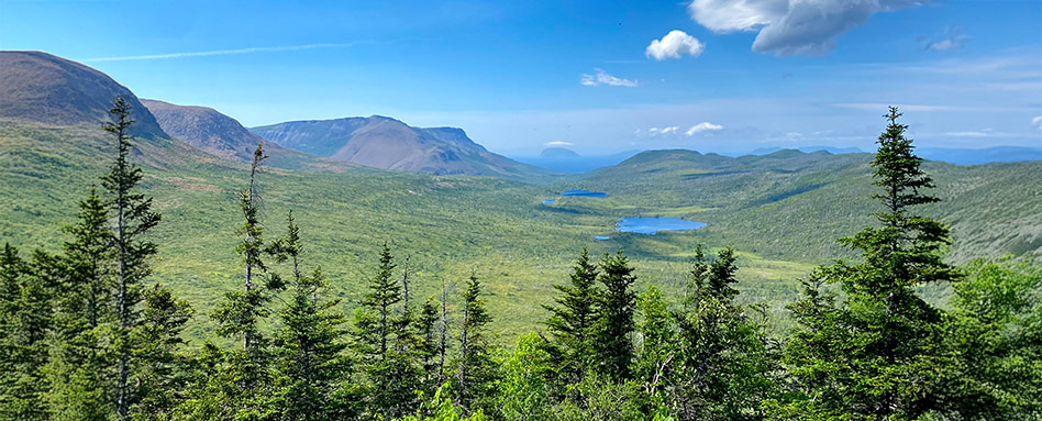 Scenic view of East Blow Me Down Trail featuring mountains, trees, and a serene lake in the foreground. Vue pittoresque du tronçon East Blow Me Down du Sentier Transcanadien, avec des montagnes, des arbres et un lac paisible à l'avant-plan.