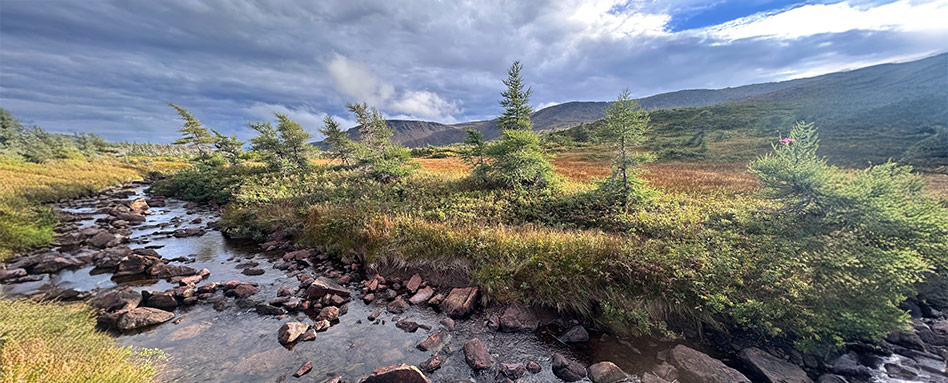 A serene stream flows through a grassy field, framed by mountains, near the East Blow Me Down Trail. Un ruisseau paisible serpente à travers une prairie verdoyante, encadré par des montagnes, près du tronçon East Blow Me Down du Sentier Transcanadien.