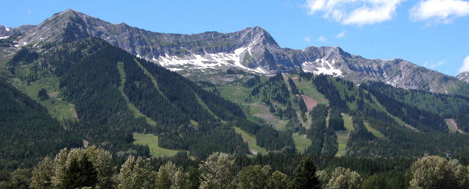 Scenic view of Fernie Alpine Resort in British Columbia, featuring rugged Rocky Mountain peaks, forested ski runs, and summer hiking trails under a clear blue sky.