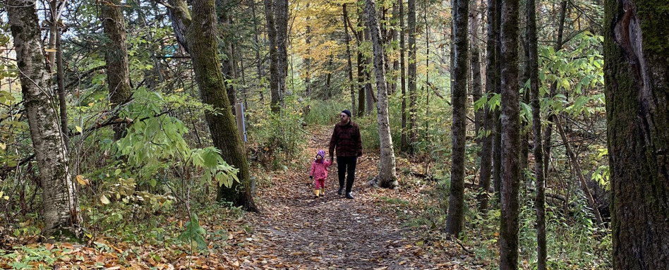family holding hands walking in fall forrest