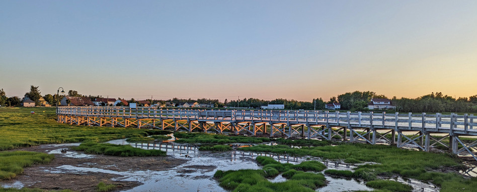 long bridge over water and shrubbery at sunset