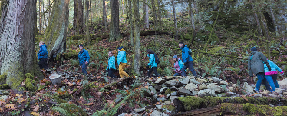 01_Support_2025-09_GCH_staff profile roundup_BC_YVR-All-Staff_Bich-Anh-Nguyen_19301-2 | Sentier Transcanadien people hiking in winter gear in a forest