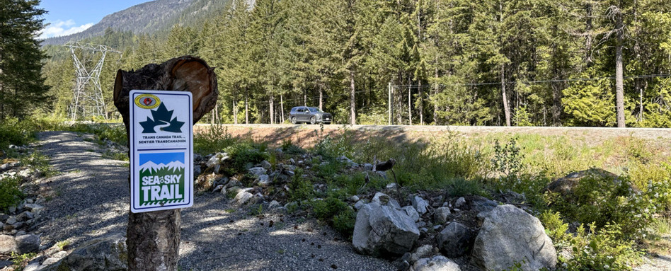 hiking trail in a forest 