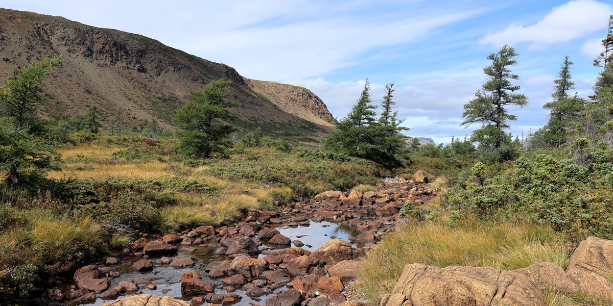 rocky water path between mountains and forest on sunny day
