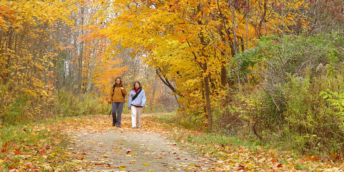 people walking on a path through fall foliage