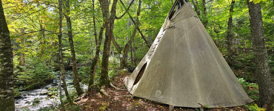 teepee in the woods on sunny day