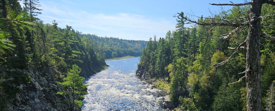 birdseye of rapids in a river surrounded by forest on a sunny day