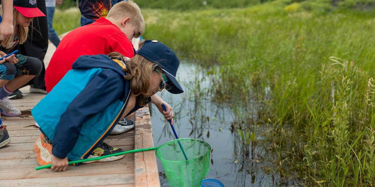 MB - Headingly Grand Trunk Trail | Sentier Transcanadien kids playing with nets on a pond standing on a dock