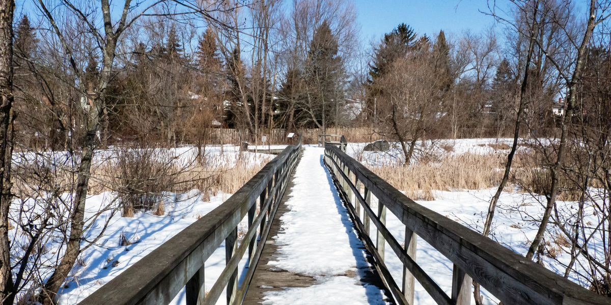 long wooden bridge
