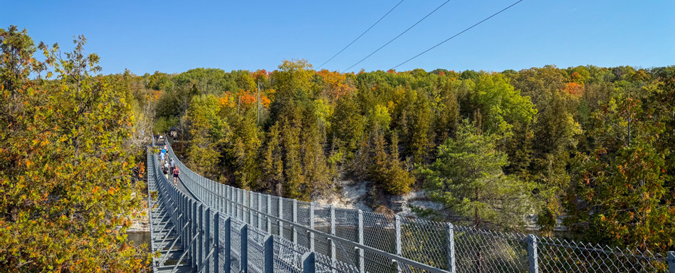 suspension bridge on sunny day with fall colours in background