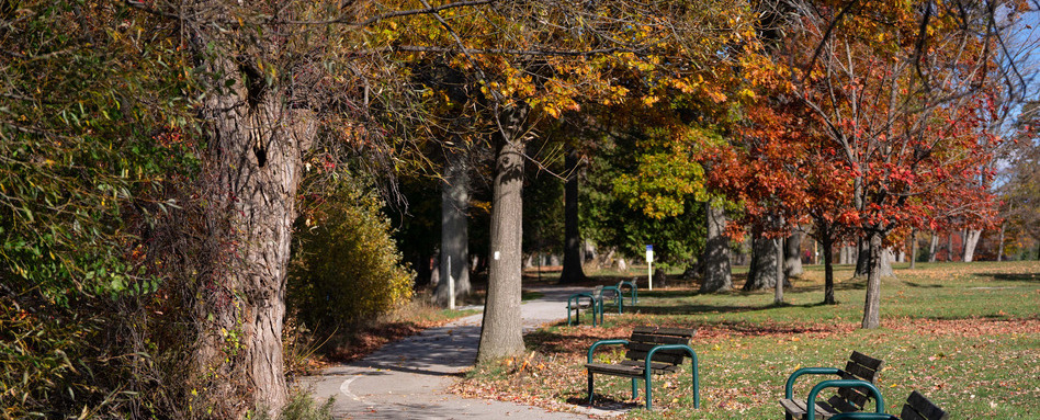 park benches along a trailway with fall foliage lining