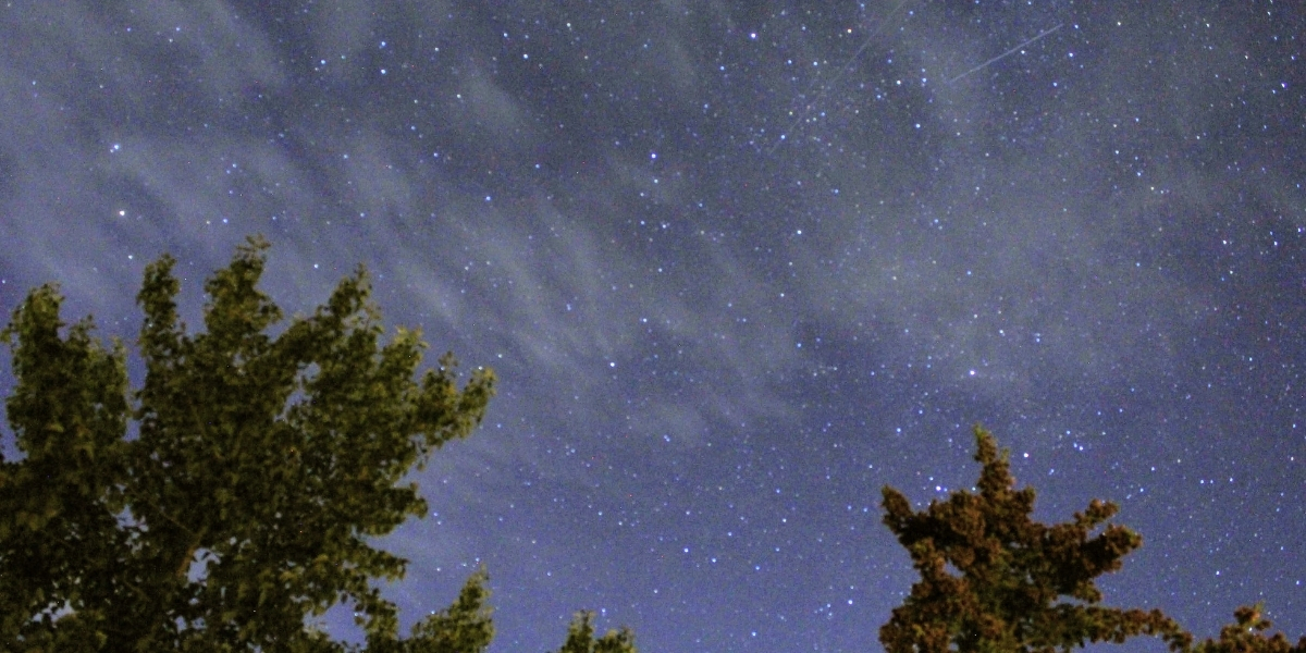 00Feature image_Web story_AB_Look Up winter skies_Sylvia Dekker | Sentier Transcanadien starry night from below with clouds and pine trees shadowing
