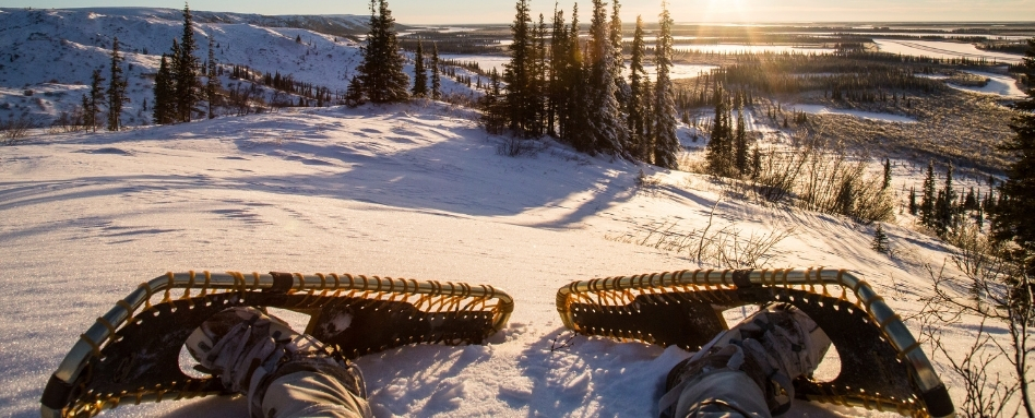 03Support images_NWT winter activities_Credit Weronika Murrary and NWTT_dont use outside of NWT promotion | Sentier Transcanadien snowy hill with trees