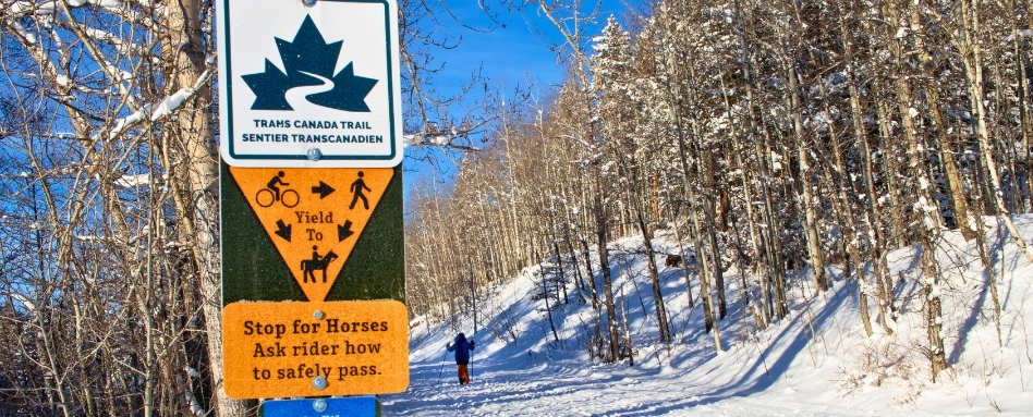 01Support image_Emilie Brillon_AB_West Bragg Creek | Sentier Transcanadien person skiing on snow covered trail on a sunny day