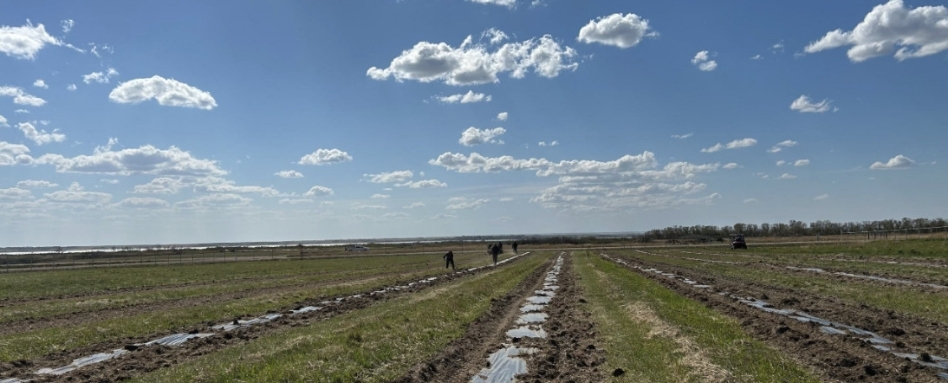 01Support image_SK_story_PTP-Prairie Sky Trails Association | Sentier Transcanadien muddy field on a sunny day