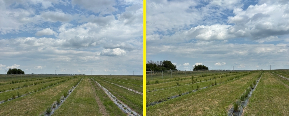 02Support image_SK_story_PTP-Prairie Sky Association-credit Prairie Sky Trails Association | Sentier Transcanadien green grass field on a cloudy day