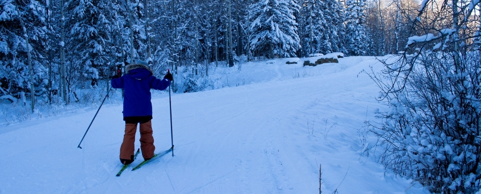 03Support image_Emilie Brillon_AB_West Bragg Creek | Sentier Transcanadien person cross country skiing on snowy trail