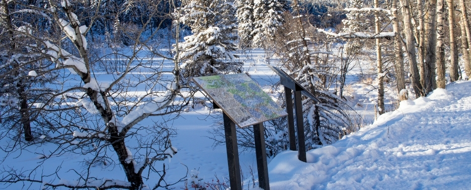 04Support image_Emilie Brillon_AB_West Bragg Creek | Sentier Transcanadien trail signage on a snowy day